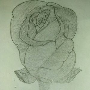 Meet your Posher, Shanee